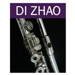 Di Zhao DZ220 Student Flute