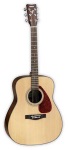 Acoustic Guitar, Dreadnaught