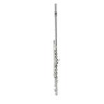 Pegasus PFL200 Student Flute