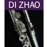 Di Zhao Professional Series Flute