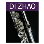 Di Zhao DZ330 Student Open Hole Flute