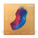 D'Addario A3101/2M Ascenté Violin String Set, 1/2 Scale, Medium Tension