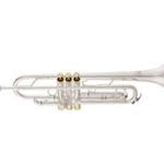 Bach Trumpet Artist L6