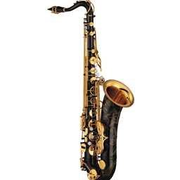Yamaha YTS-875EXB Custom EX Tenor Saxophone – Black Lacquer Finish