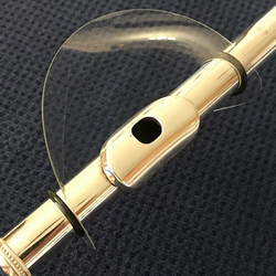 Flute Shield